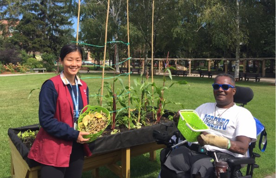 An Asian woman and a Black man in a wheelchair harvesting vegetables from a raised planter. 